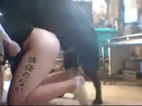 Brave coed assumes doggystyle position for bestiality with a hung K9 to please her stud